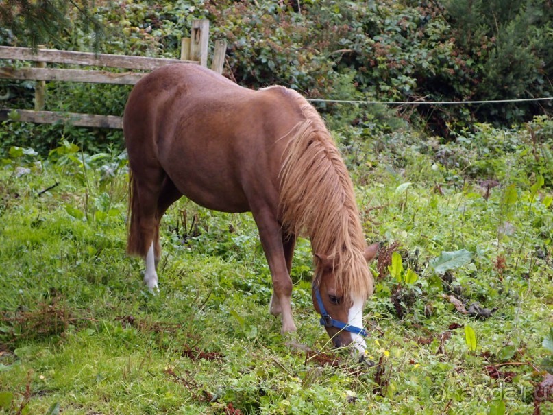 Болотная деревня и новая любовь