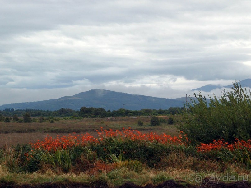 Болотная деревня и новая любовь