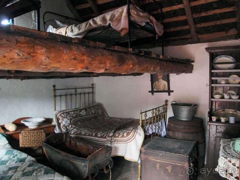 Болотная деревня и новая любовь