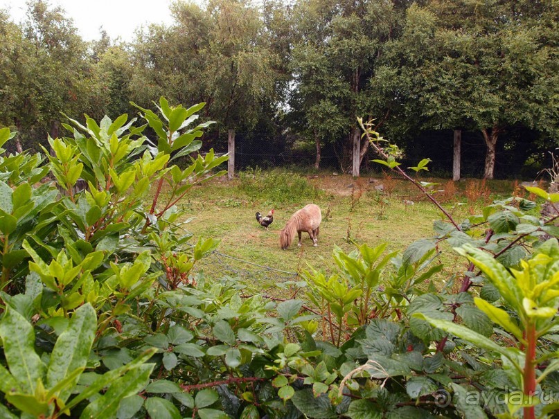 Болотная деревня и новая любовь