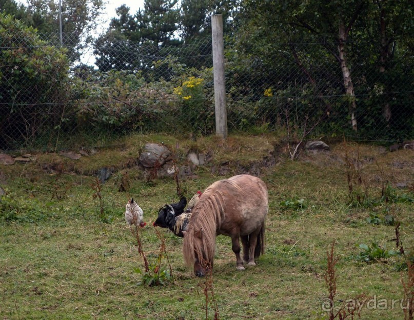 Болотная деревня и новая любовь