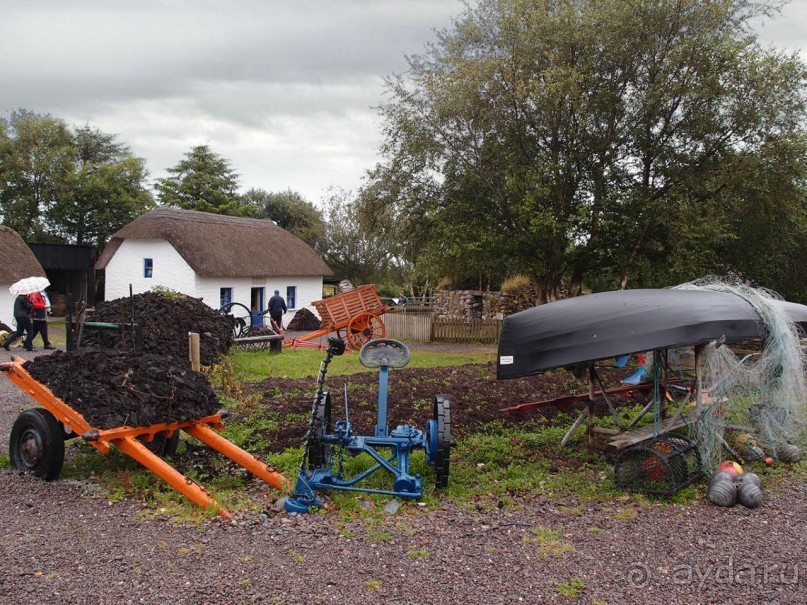 Болотная деревня и новая любовь