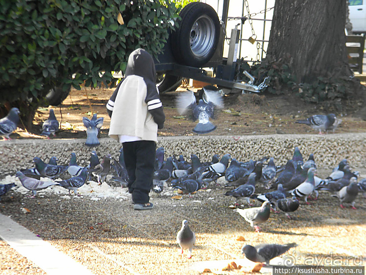 О политике, свободе и хорошей погоде