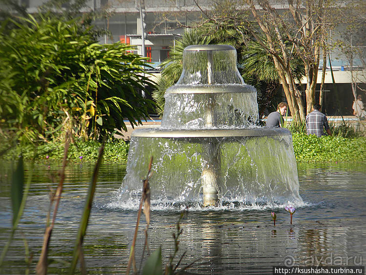 О политике, свободе и хорошей погоде