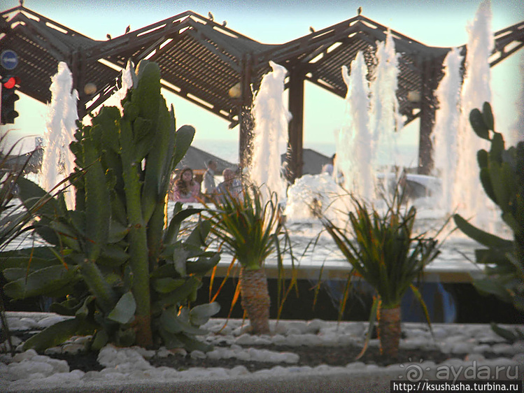 О политике, свободе и хорошей погоде