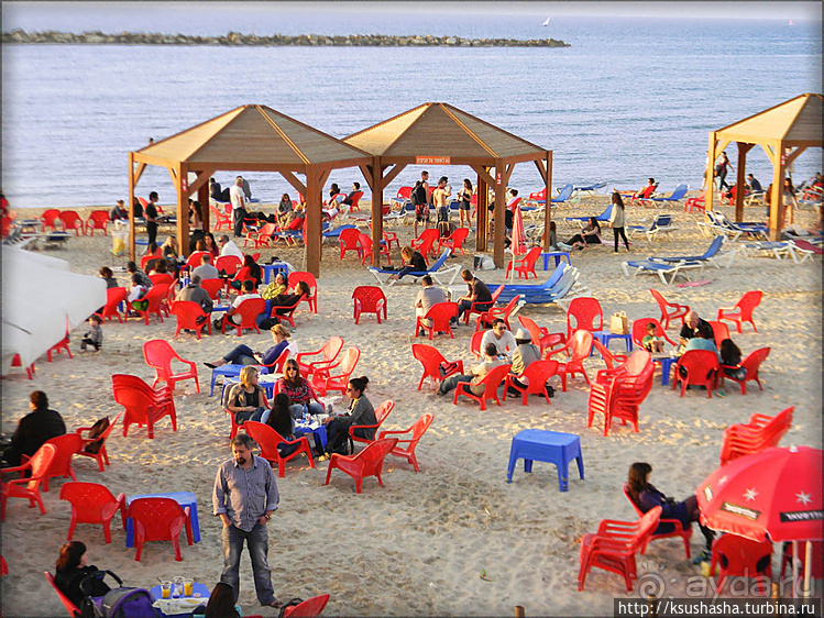 О политике, свободе и хорошей погоде