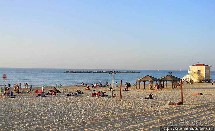 О политике, свободе и хорошей погоде