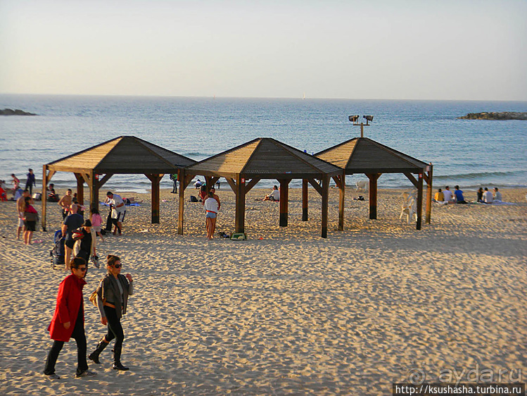 О политике, свободе и хорошей погоде