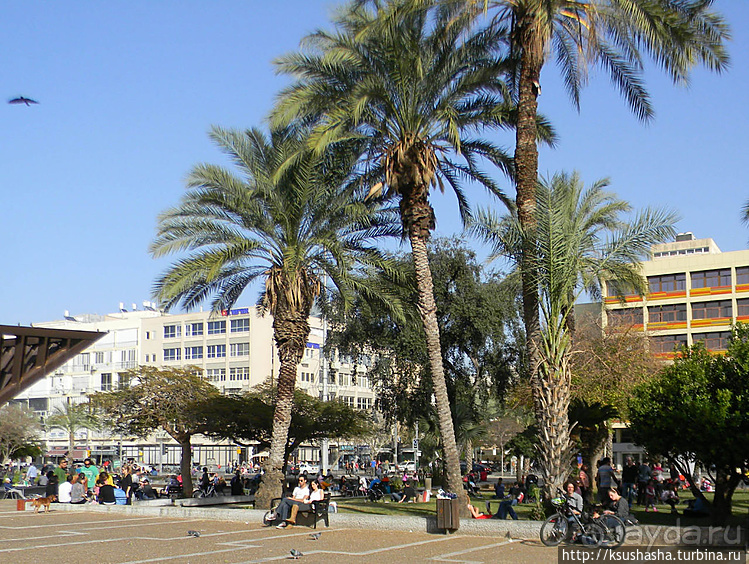 О политике, свободе и хорошей погоде