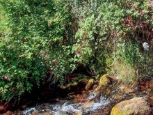 Вевчани. Непокорное село и его родники