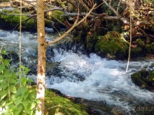 Вевчани. Непокорное село и его родники