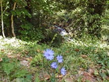 Вевчани. Непокорное село и его родники