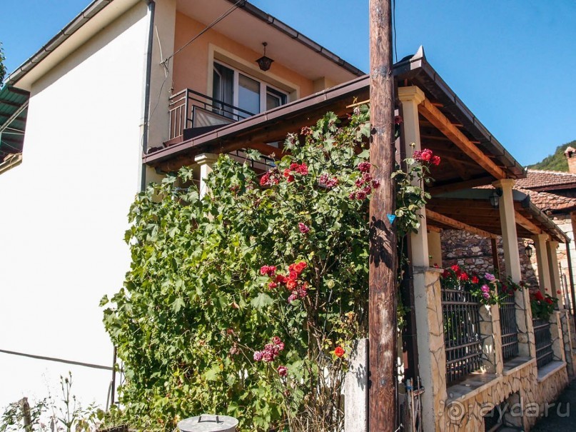 Вевчани. Непокорное село и его родники