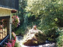 Вевчани. Непокорное село и его родники