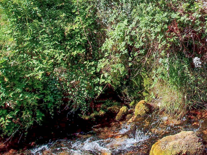 Вевчани. Непокорное село и его родники