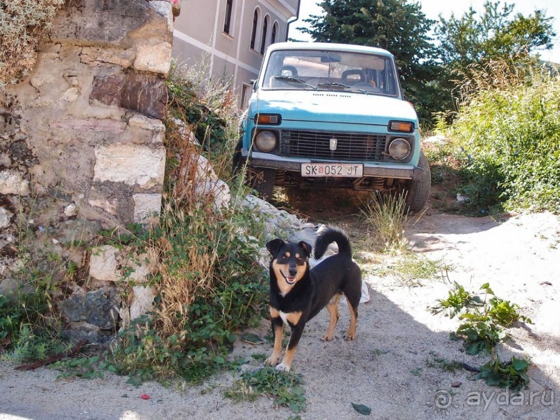 Вевчани. Непокорное село и его родники