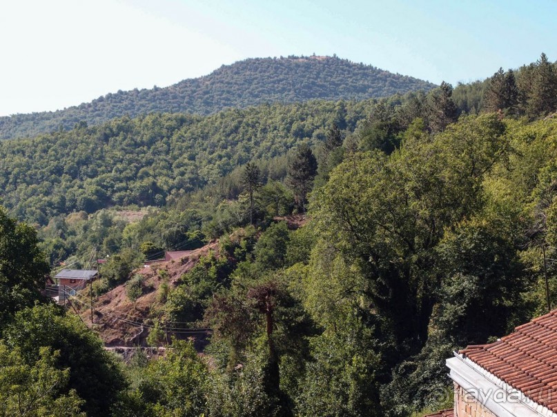 Вевчани. Непокорное село и его родники