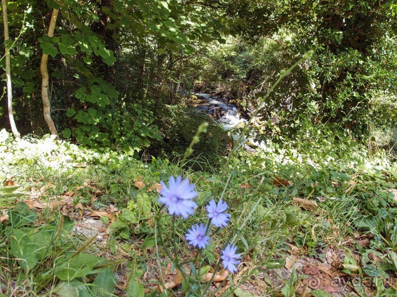 Вевчани. Непокорное село и его родники