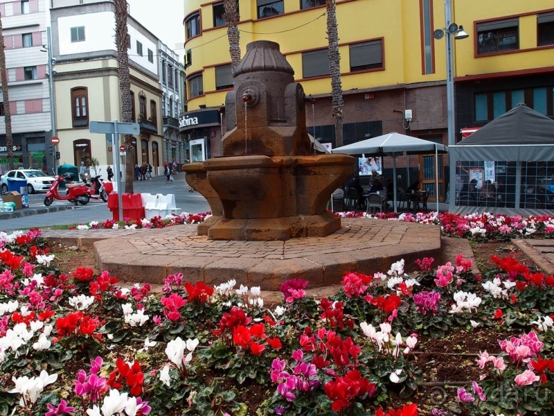 Альбом истории "Обычный, хоть и столичный"