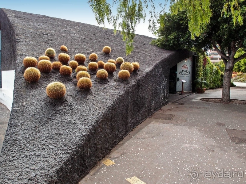 Альбом истории "Обычный, хоть и столичный"