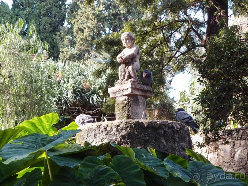 Экзотический сад Таормины