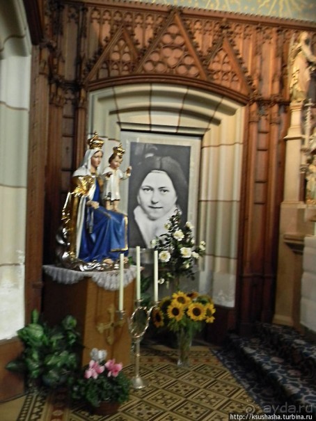 Майерлинг. Загадка Венского леса