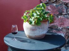 Винная асьенда