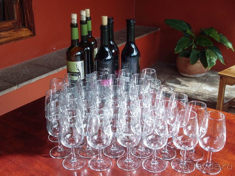 Винная асьенда