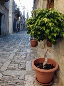 Эриче. Уединение и святость