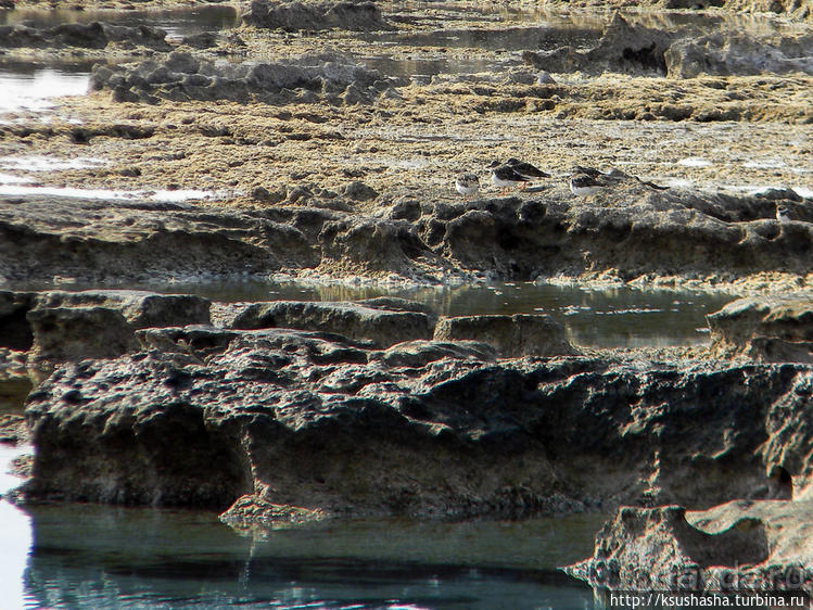 Вдоль Тель Ахзива к Рош-ха-Никра
