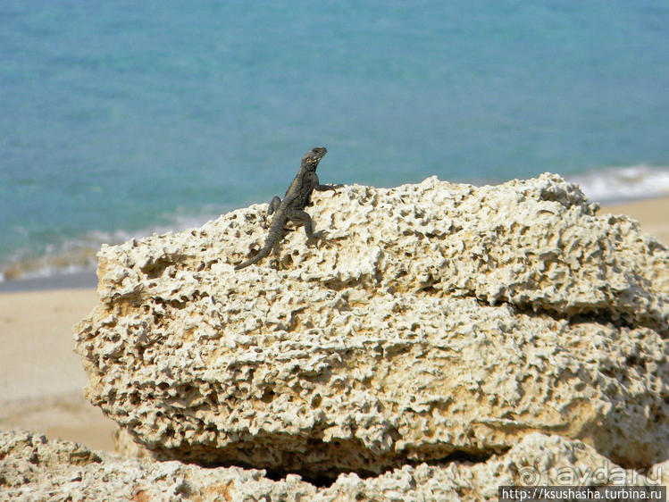 Вдоль Тель Ахзива к Рош-ха-Никра