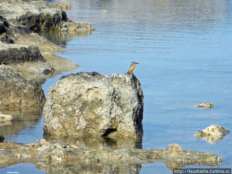 Вдоль Тель Ахзива к Рош-ха-Никра