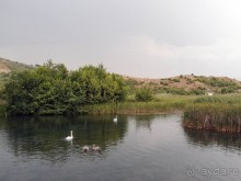 Альбом отзыва "Короткая вылазка в Албанию"