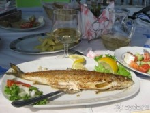 Короткая вылазка в Албанию