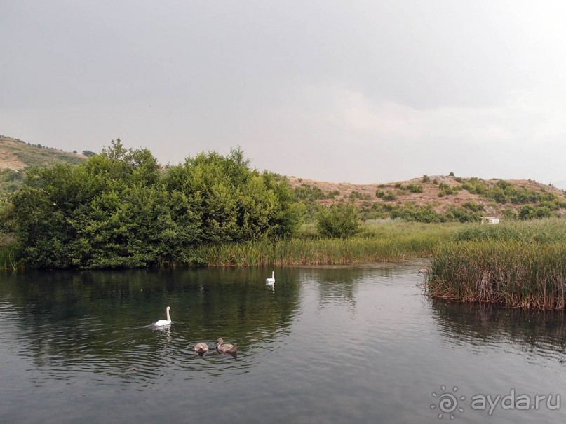 Короткая вылазка в Албанию
