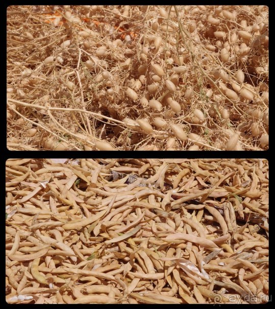 Короткая вылазка в Албанию