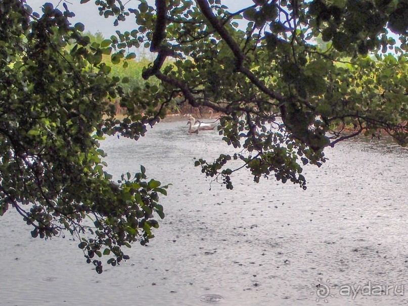 Короткая вылазка в Албанию