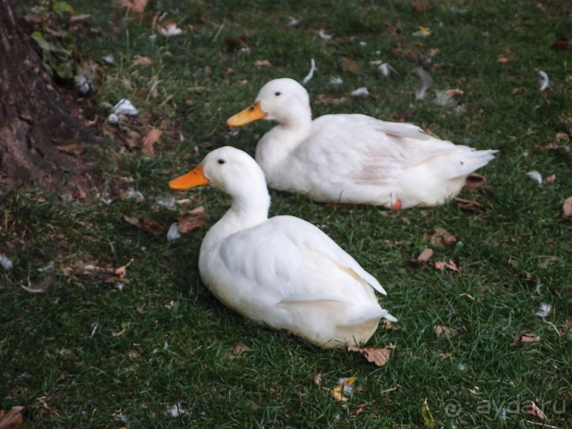 Короткая вылазка в Албанию