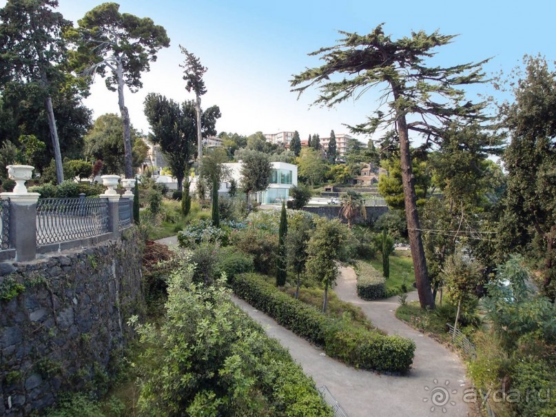 Ачиреале — провинциальный король