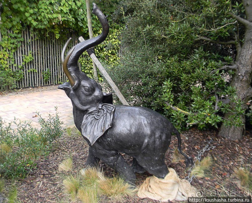 Не ошибитесь с местом парковки