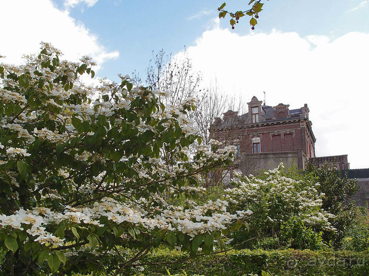 Подводная лодка, марионетки и ортилонаж