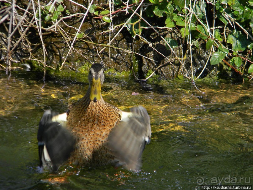 На месте старых бастионов