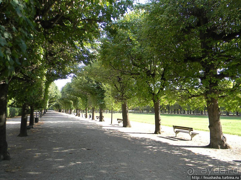 Печальный Аугартен