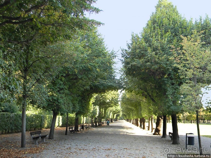 Печальный Аугартен