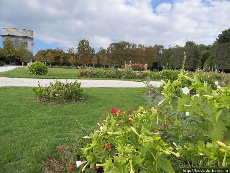 Печальный Аугартен