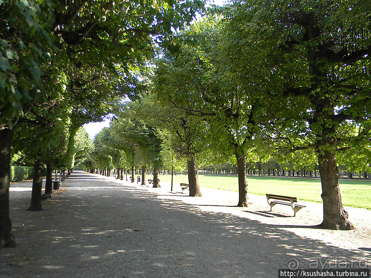 Печальный Аугартен