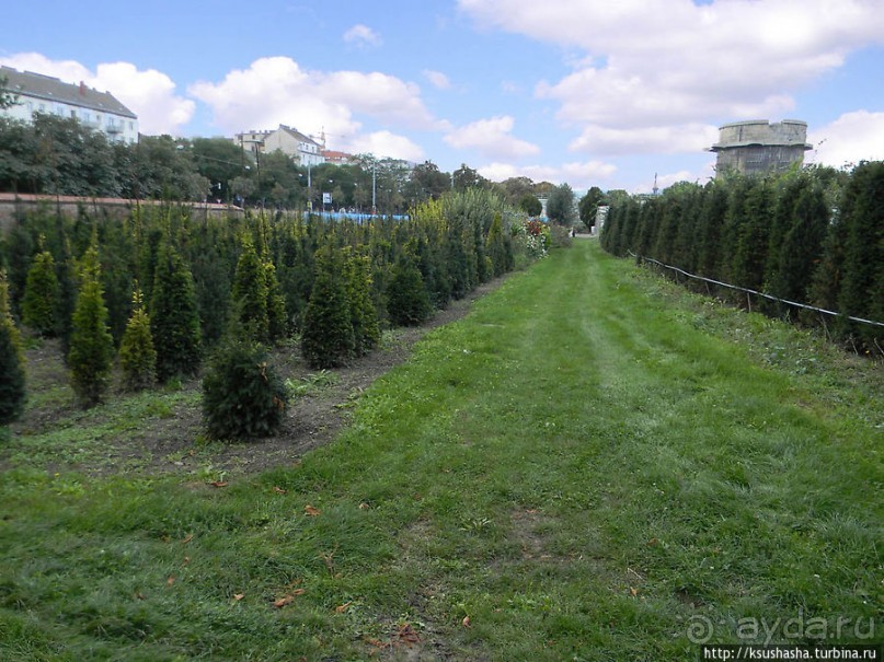 Печальный Аугартен