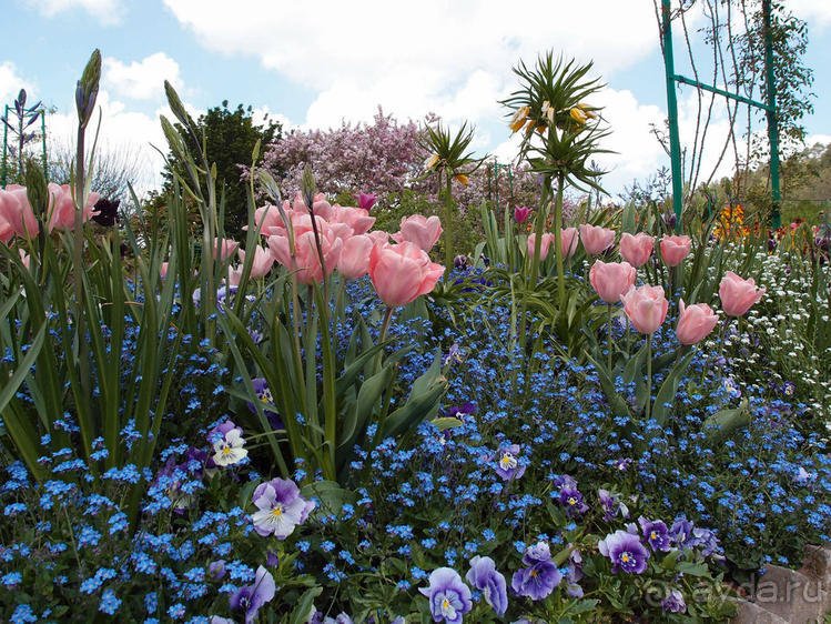 Четыре сезона. Чудесный 2014 год