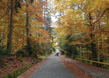 Четыре сезона. Чудесный 2014 год