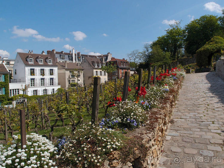 Четыре сезона. Чудесный 2014 год